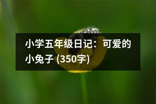 小學(xué)五年級日記：可愛的小兔子 (350字)