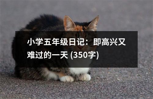 小學(xué)五年級(jí)日記：即高興又難過(guò)的一天 (350字)