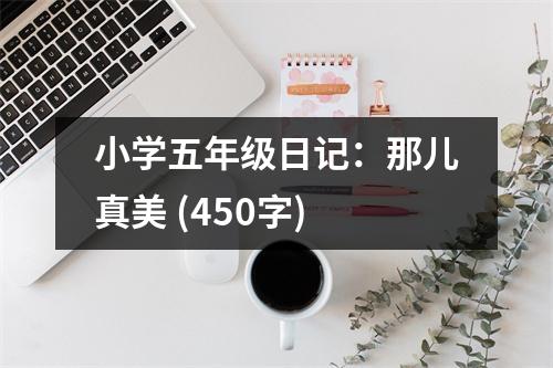 小學(xué)五年級(jí)日記：那兒真美 (450字)