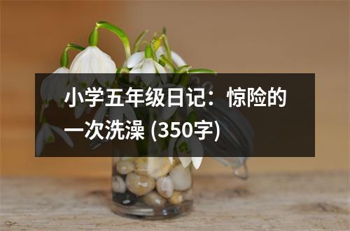 小學(xué)五年級(jí)日記：驚險(xiǎn)的一次洗澡 (350字)