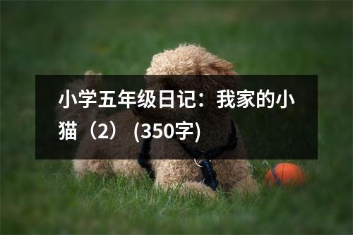小學(xué)五年級日記：我家的小貓（2） (350字)