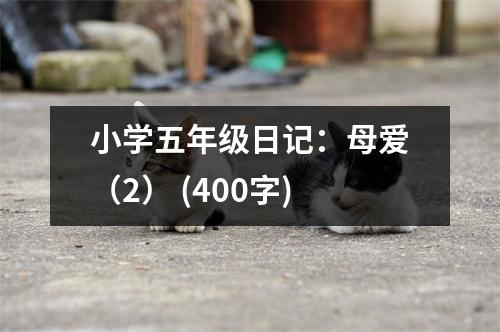 小學(xué)五年級(jí)日記：母愛（2） (400字)