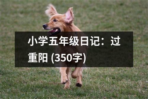 小學(xué)五年級日記：過重陽 (350字)
