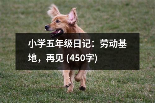 小學五年級日記：勞動基地，再見 (450字)