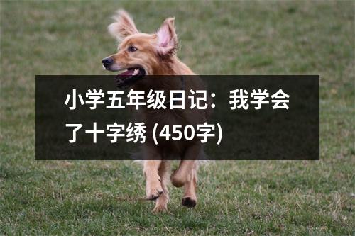 小學(xué)五年級日記：我學(xué)會了十字繡 (450字)