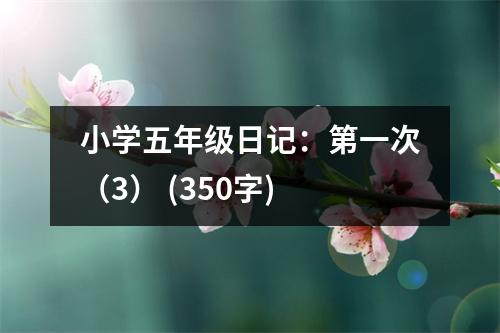 小學(xué)五年級(jí)日記：第一次（3） (350字)
