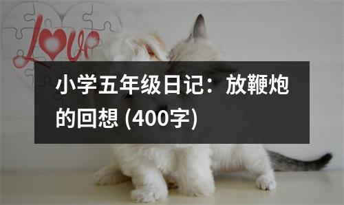 小學(xué)五年級(jí)日記：放鞭炮的回想 (400字)