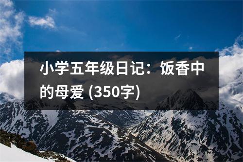小學(xué)五年級(jí)日記：飯香中的母愛 (350字)