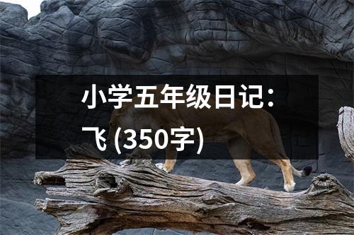 小學五年級日記：飛 (350字)