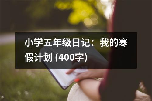 小學五年級日記：我的寒假計劃 (400字)