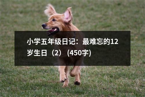 小學(xué)五年級(jí)日記：最難忘的12歲生日（2） (450字)