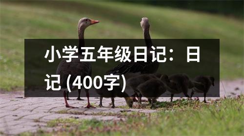 小學(xué)五年級(jí)日記：日記 (400字)