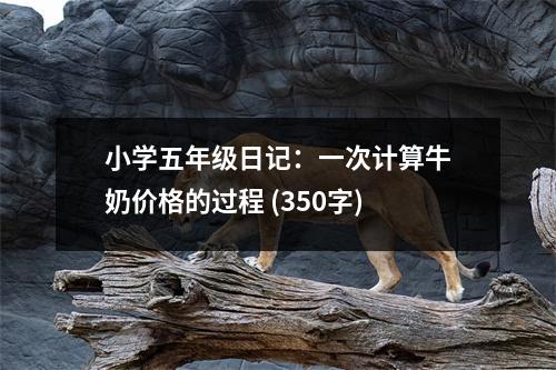 小學(xué)五年級(jí)日記：一次計(jì)算牛奶價(jià)格的過程 (350字)