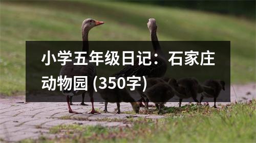 小學五年級日記：石家莊動物園 (350字)