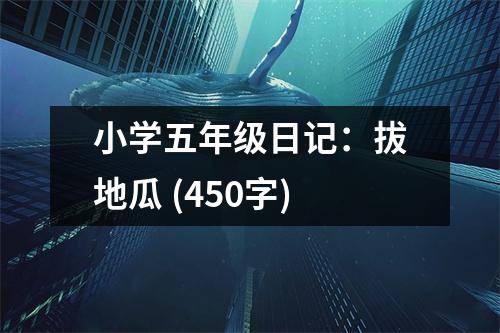 小學五年級日記：拔地瓜 (450字)