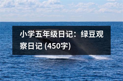小學(xué)五年級日記：綠豆觀察日記 (450字)