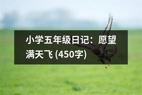 小學(xué)五年級日記：愿望滿天飛 (450字)