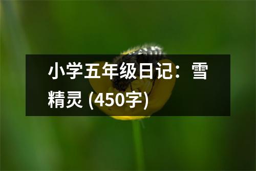 小學(xué)五年級(jí)日記：雪精靈 (450字)