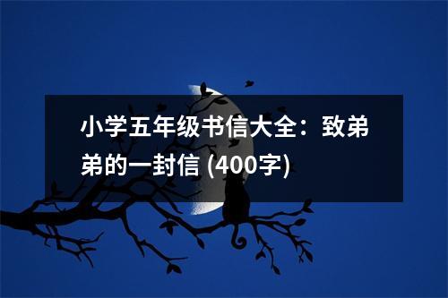 小學(xué)五年級書信大全：致弟弟的一封信 (400字)