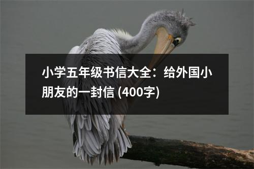 小學(xué)五年級(jí)書信大全：給外國(guó)小朋友的一封信 (400字)