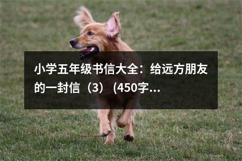 小學(xué)五年級書信大全：給遠(yuǎn)方朋友的一封信（3） (450字)