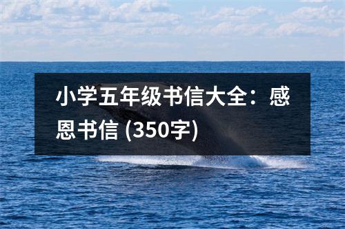 小學五年級書信大全：感恩書信 (350字)
