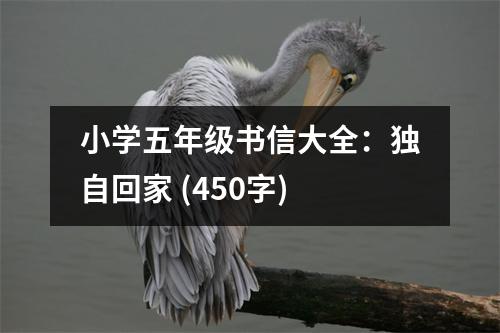 小學五年級書信大全：獨自回家 (450字)