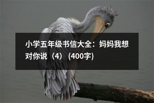 小學(xué)五年級書信大全：媽媽我想對你說（4） (400字)