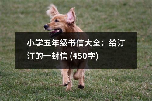 小學(xué)五年級(jí)書(shū)信大全：給汀汀的一封信 (450字)