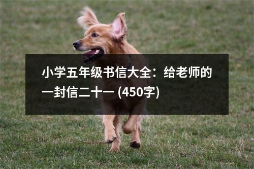 小學(xué)五年級(jí)書(shū)信大全：給老師的一封信二十一 (450字)