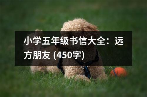 小學(xué)五年級(jí)書(shū)信大全：遠(yuǎn)方朋友 (450字)