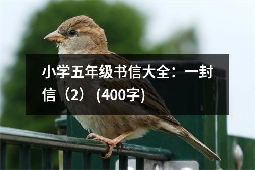 小學五年級書信大全：一封信（2） (400字)