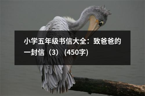小學五年級書信大全：致爸爸的一封信（3） (450字)