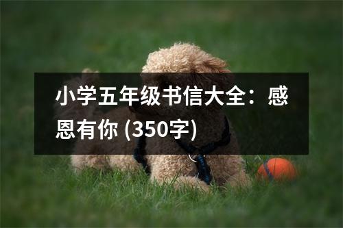 小學五年級書信大全：感恩有你 (350字)