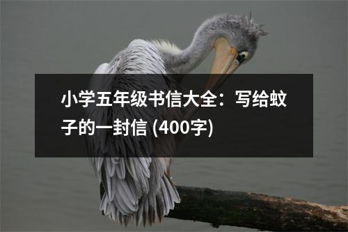 小學五年級書信大全：寫給蚊子的一封信 (400字)