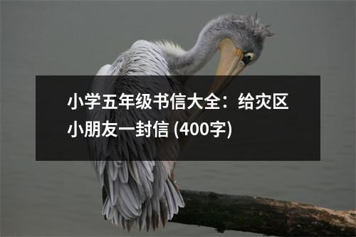 小學(xué)五年級(jí)書信大全：給災(zāi)區(qū)小朋友一封信 (400字)
