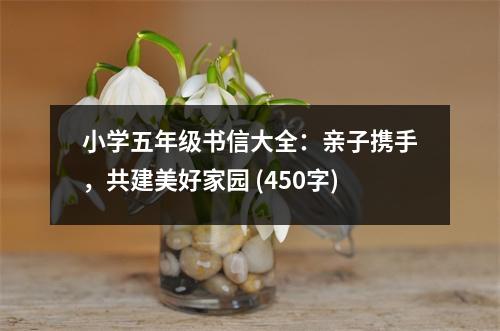 小學(xué)五年級(jí)書信大全：親子攜手，共建美好家園 (450字)