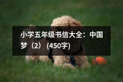 小學(xué)五年級(jí)書信大全：中國(guó)夢(mèng)（2） (450字)
