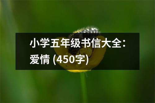 小學(xué)五年級書信大全：愛情 (450字)