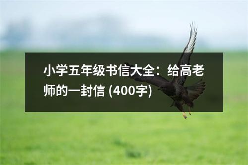 小學五年級書信大全：給高老師的一封信 (400字)