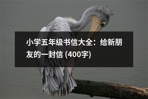 小學(xué)五年級(jí)書(shū)信大全：給新朋友的一封信 (400字)