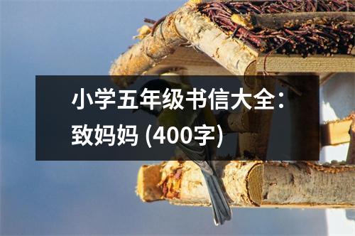 小學(xué)五年級書信大全：致媽媽 (400字)