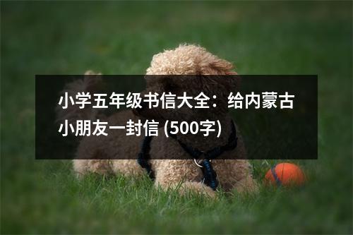 小學(xué)五年級書信大全：給內(nèi)蒙古小朋友一封信 (500字)