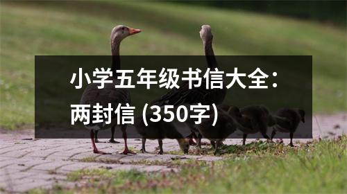 小學(xué)五年級書信大全：兩封信 (350字)