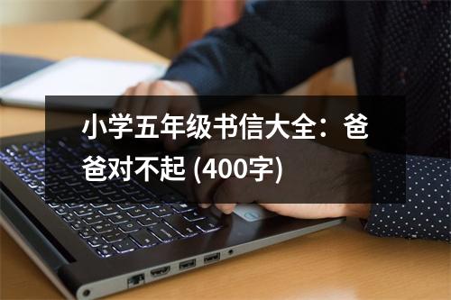 小學五年級書信大全：爸爸對不起 (400字)