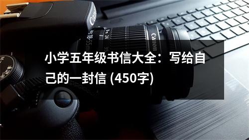 小學(xué)五年級書信大全：寫給自己的一封信 (450字)
