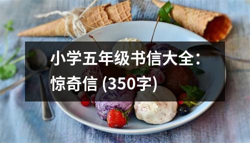 小學(xué)五年級書信大全：驚奇信 (350字)