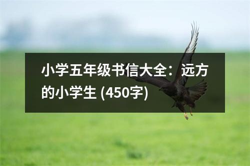 小學(xué)五年級(jí)書(shū)信大全：遠(yuǎn)方的小學(xué)生 (450字)