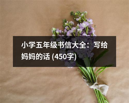 小學(xué)五年級書信大全：寫給媽媽的話 (450字)