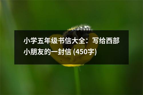 小學(xué)五年級(jí)書信大全：寫給西部小朋友的一封信 (450字)